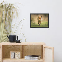 Young Female Red Fox In Forest Animal Wildlife Nature Photograph Framed Wall Art Prints