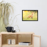 Baby Red Fox in the Sun Wildlife Photo Framed Wall Art Prints