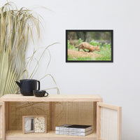 Baby Red Fox On The Move Animal Wildlife Photograph Framed Wall Art Prints