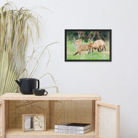 Baby Red Foxes Head Held High Animal Wildlife Photograph Framed Wall Art Prints