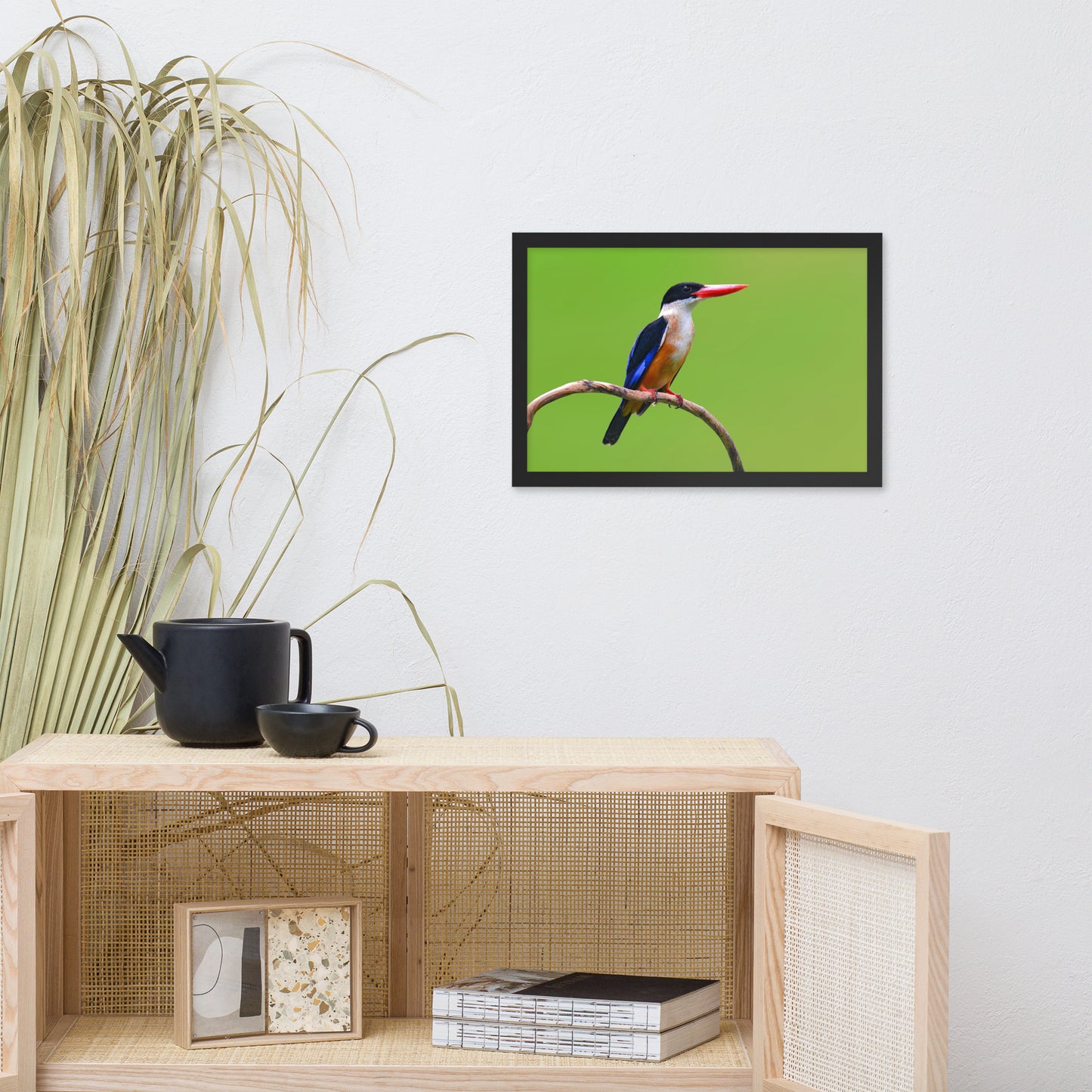 Black Capped Kingfisher Bird on Perch Animal Wildlife Photograph Framed Wall Art Prints