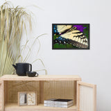 Butterfly Wings Wildlife Photo Framed Wall Art Prints