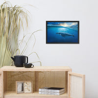 Dreamy Blue Whale Ocean Sunset Glory Rays Animal Wildlife Photograph Framed Wall Art Print
