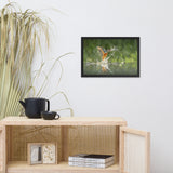 Flying Turquoise Blue and Orange Common Kingfisher Bird With Fish Animal Wildlife Photograph Framed Wall Art Prints