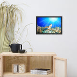 Green Sea Turtle In Tropical Coral Reef and Sunbeams Animal Wildlife Photograph Framed Wall Art Print