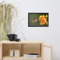 Hummingbird with Little Yellow-Orange Flowers Animal Wildlife Photograph Framed Wall Art Prints