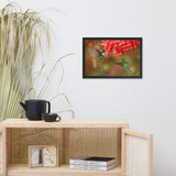 Hummingbirds with Reddish-Orange Flowers Animal Wildlife Photograph Framed Wall Art Prints