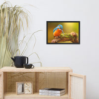 Kingfisher Bird on Perch 2 Animal Wildlife Photo Framed Wall Art Prints
