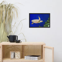 Sea Turtle 1 Animal Wildlife Photograph Framed Wall Art Prints