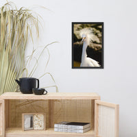 Snowy Egret Animal Wildlife Photograph Framed Wall Art Prints