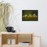 Three Tiny Green Red Eyed Tree Frog on Bamboo Animal Wildlife Photograph Framed Wall Art Prints