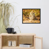 Burrowing Owl in Golden Light Wildlife Nature Photo Framed Wall Art Prints
