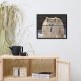 Aries the White Wolf Wildlife Photo Framed Wall Art Print