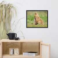 Baby Red Foxes Sibling Kisses Animal Wildlife Photograph Framed Wall Art Prints