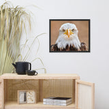 Bald Eagle Portrait Close-up 2 Wildlife Photograph Framed Wall Art Prints