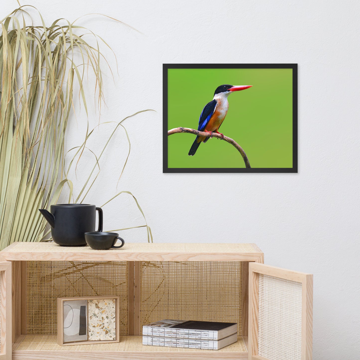 Black Capped Kingfisher Bird on Perch Animal Wildlife Photograph Framed Wall Art Prints