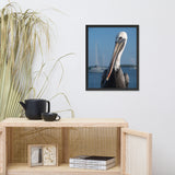 Bob The Pelican Bird 3 Color Wildlife Photo Framed Wall Art Prints