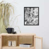 Dragonfly in Black and White Animal Wildlife Photograph Framed Wall Art Prints