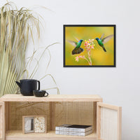 Hummingbirds with Little Pink Flowers Animal Wildlife Photo Framed Wall Art Prints