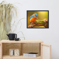 Kingfisher Bird on Perch 2 Animal Wildlife Photo Framed Wall Art Prints