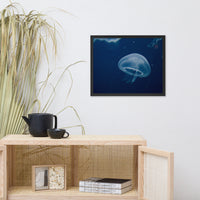 Small Blue Jelly Animal Wildlife Photograph Framed Wall Art Prints