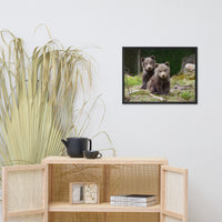 Baby Brown Bear Cubs In Forest Wildlife Photo Framed Wall Art Print