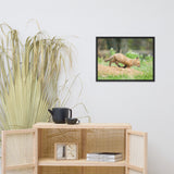Baby Red Fox On The Move Animal Wildlife Photograph Framed Wall Art Prints