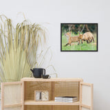 Baby Red Foxes Head Held High Animal Wildlife Photograph Framed Wall Art Prints