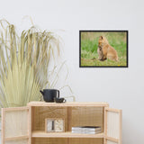 Baby Red Foxes Sibling Kisses Animal Wildlife Photograph Framed Wall Art Prints