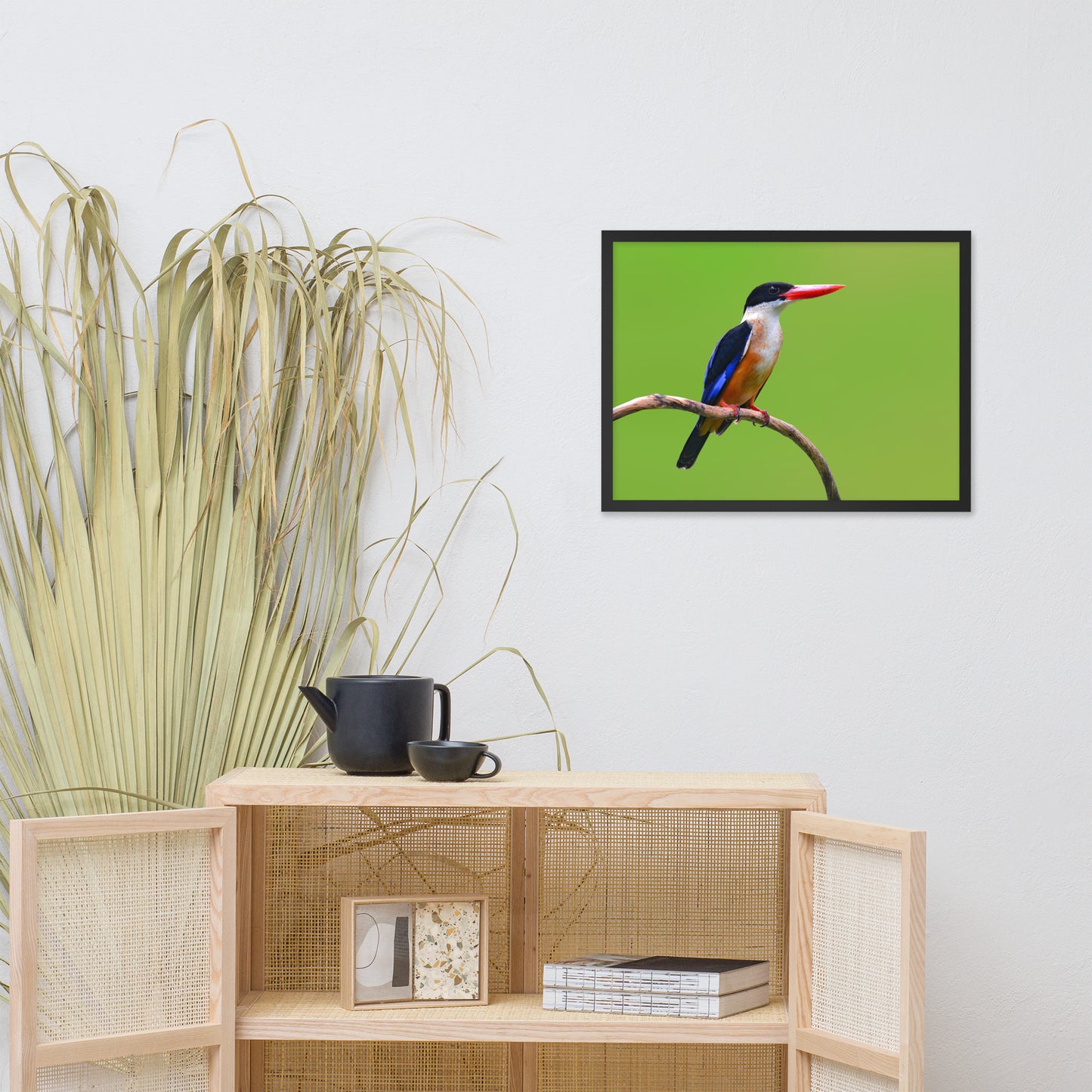 Black Capped Kingfisher Bird on Perch Animal Wildlife Photograph Framed Wall Art Prints