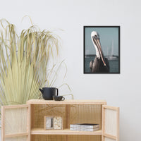 Bob The Pelican Bird 3R Colorized Wildlife Photo Framed Wall Art Prints