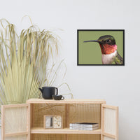 Close-up Ruby-throated Hummingbird Animal Wildlife Photograph Framed Wall Art Prints