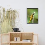 Dragonfly at Bombay Hook Animal Wildlife Photograph Framed Wall Art Prints