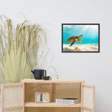 Hawaiian Green Sea Turtle In Turquoise Blue Sea and Sandbars Animal Wildlife Photograph Framed Wall Art Print
