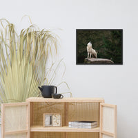 Howling White Wolf In The Forest Animal Wildlife Photograph Framed Wall Art Print