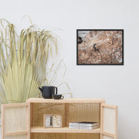 Lizard Rock Colorized Wildlife Photograph Framed Wall Art Prints