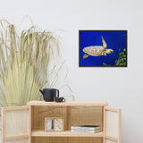 Sea Turtle 1 Animal Wildlife Photograph Framed Wall Art Prints