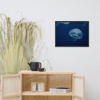 Small Blue Jelly Animal Wildlife Photograph Framed Wall Art Prints