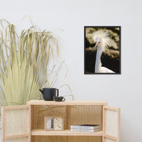Snowy Egret Animal Wildlife Photograph Framed Wall Art Prints
