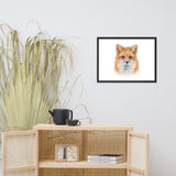 Young Red Fox Face On White Animal Wildlife Nature Framed Wall Art Prints