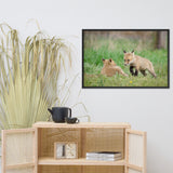 Baby Red Foxes Coming to Get You Wildlife Photo Framed Wall Art Prints