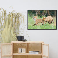 Baby Red Foxes Head Held High Animal Wildlife Photograph Framed Wall Art Prints