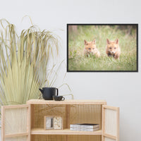 Baby Red Foxes Learning to Hunt Animal Wildlife Photograph Framed Wall Art Prints