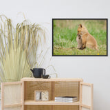 Baby Red Foxes Sibling Kisses Animal Wildlife Photograph Framed Wall Art Prints