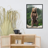 Big Standing Brown Bear On Mountain Top Animal Wildlife Photograph Framed Wall Art Prints