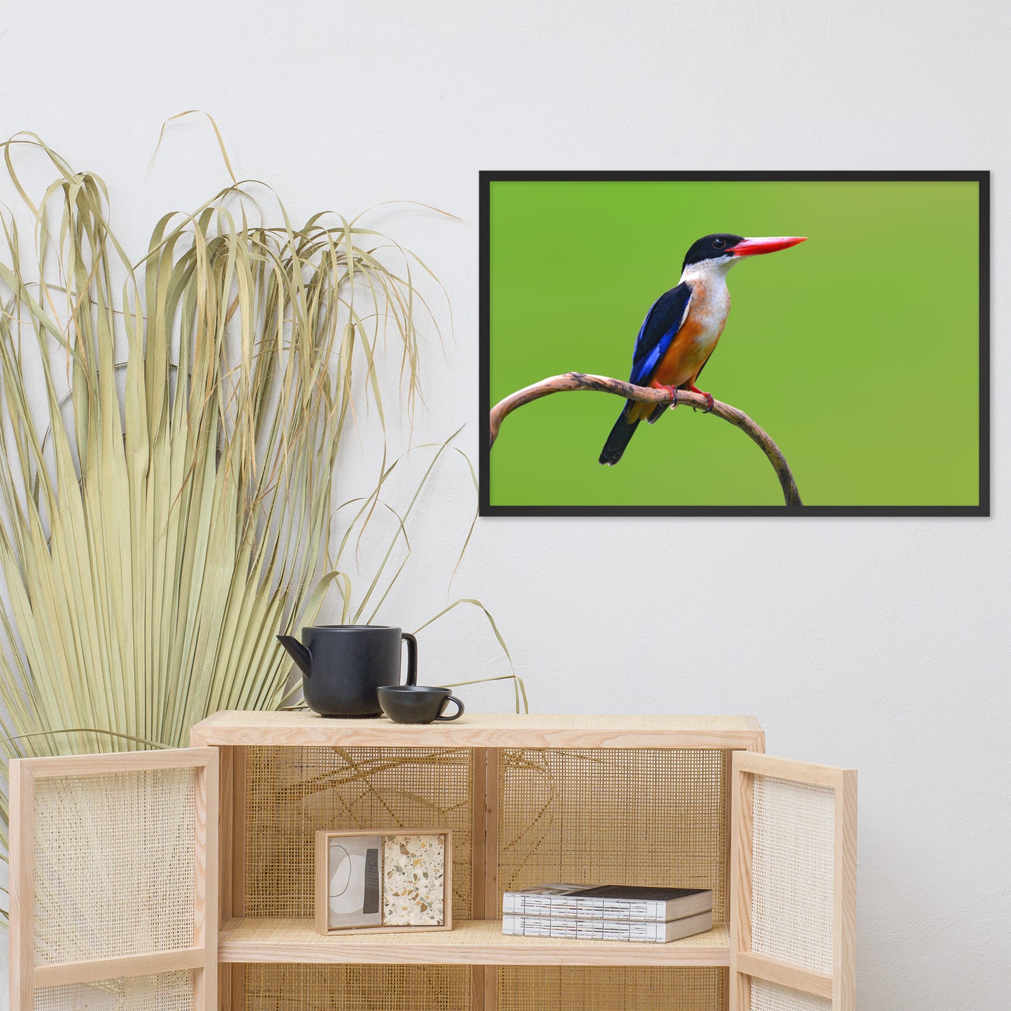 Black Capped Kingfisher Bird on Perch Animal Wildlife Photograph Framed Wall Art Prints