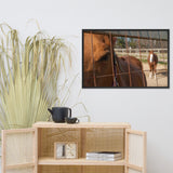 Fenced In Animal Horse Photograph Framed Wall Art Prints
