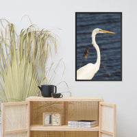 Great White Egret Animal Wildlife Photograph Framed Wall Art Prints