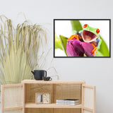 Happy Red Eyed Tree Frog Sitting on Purple Tulip Flower Bloom Wildlife Nature Photo Framed Wall Art Print