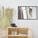 Hiding Wolf Behind Birch Tree In The Forest Animal Wildlife Nature Photograph Framed Wall Art Prints